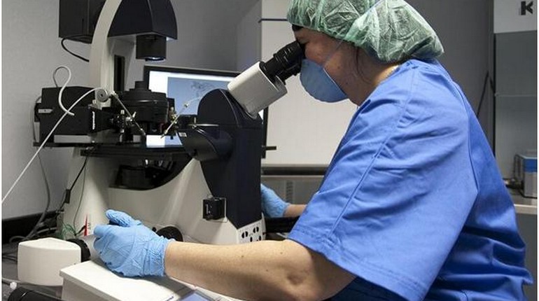 Женщина и микроскоп, процедура ЭКО, искусственное оплодотворение