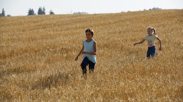 дети бегают по пшеничному полю, пшеничное поле летом и дети