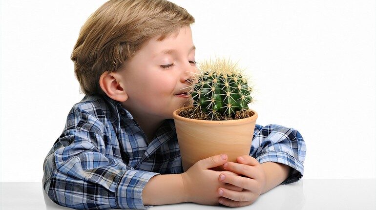 мальчик нюхает кактус, ребенок обнимает горшок с кактусом