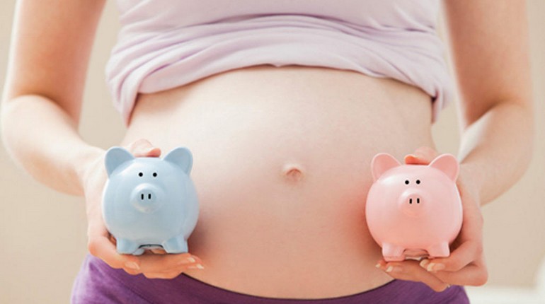 какой пол будущего ребенка, беременная девушка держит розовую и голубую свинку